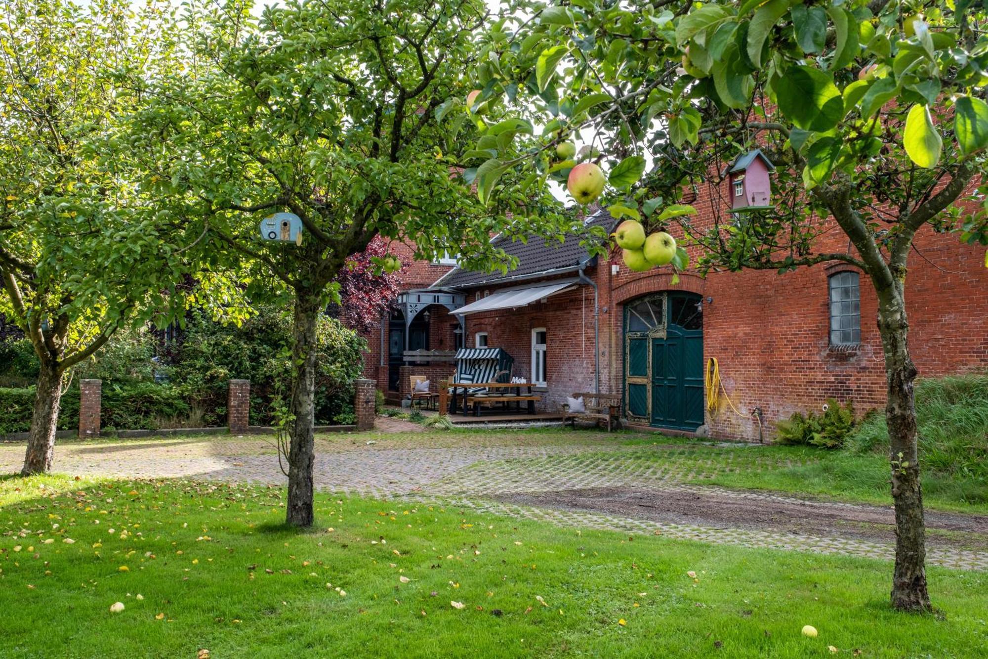 Ferienwohnung Flut Am Weserstrand Sandstedt المظهر الخارجي الصورة